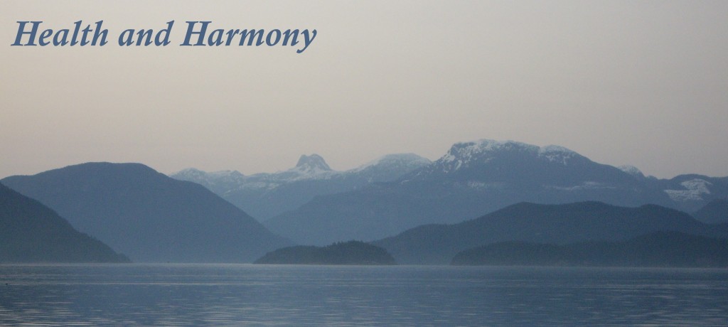 harmony home health tampa